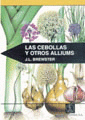 Las cebollas y otros alliums.