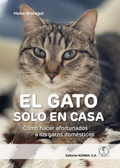 El gato solo en casa