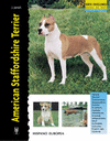 American Staffordshire Terrier serie excellence
