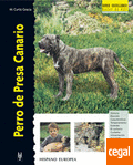 Perro de presa canario serie excellence