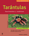 Tarntulas. Fascinantes y exticas