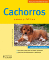 Cachorros sanos y felices