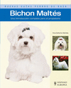 Bichon Malts nuevas guas perros de raza