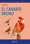 Canarios de color. El canario bruno