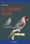 Canarios de color. El canario agata