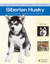Siberian Husky nuevas guas de perros de raza