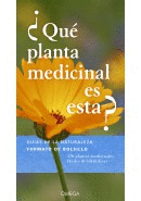 Qu planta medicinal es esta?