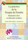 095.- La prctica de la terapia de familia.