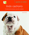 Lindo cachorro