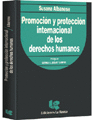 Promocin y proteccin internacional de los derechos humanos.