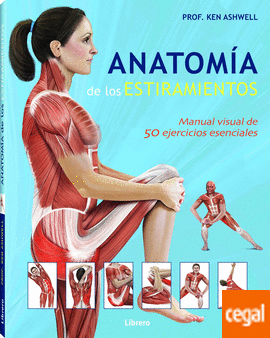 Anatomia de los estiramientos