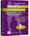 Procedimiento judicial en el fuero de familia