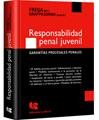 Responsabilidad penal juvenil garantías procesales penales